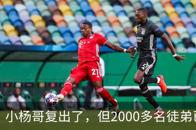 小杨哥复出了，但2000多名徒弟已经跑光了